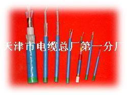 天津市電纜總廠第一分廠產(chǎn)品詳解 阻燃電纜與特種電纜全面展示